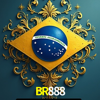 Interface Premium BR888